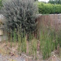 amenagement-jardin0005 amenagement-jardin0005