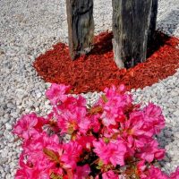 amenagement-jardin0007 amenagement-jardin0007