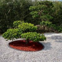 amenagement-jardin0011