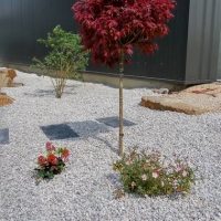 amenagement-jardin0012 amenagement-jardin0012