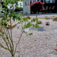 amenagement-jardin0013