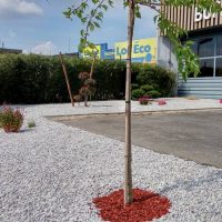 amenagement-jardin0014 amenagement-jardin0014