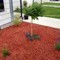 amenagement-jardin0017