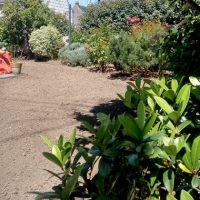 amenagement-jardin0018 amenagement-jardin0018