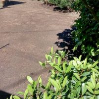 amenagement-jardin0021 amenagement-jardin0021