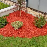 amenagement-jardin0022