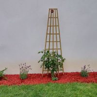 amenagement-jardin0023 amenagement-jardin0023