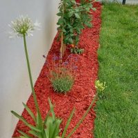 amenagement-jardin0024 amenagement-jardin0024