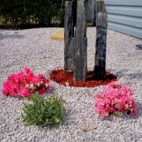 amenagement-jardin0032 amenagement-jardin0032