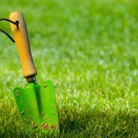 jardinier-nord-vendee jardinier-nord-vendee