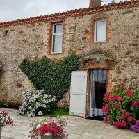 lierre-facade-maison3