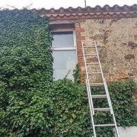 lierre-facÌ§ade-maison2