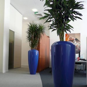 paysagiste-interieur-entreprise-0002 paysagiste-interieur-entreprise-0002