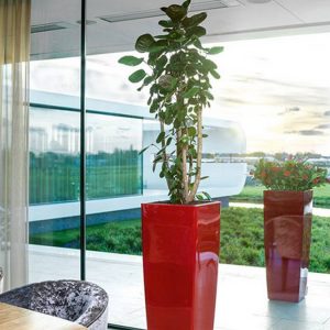 paysagiste-interieur-entreprise-0004 paysagiste-interieur-entreprise-0004