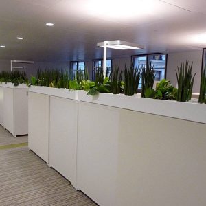 paysagiste-interieur-entreprise-0005 paysagiste-interieur-entreprise-0005