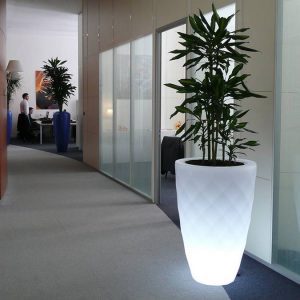 paysagiste-interieur-entreprise-0009 paysagiste-interieur-entreprise-0009