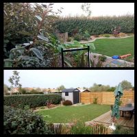 taille de haie-jardin taille de haie-jardin